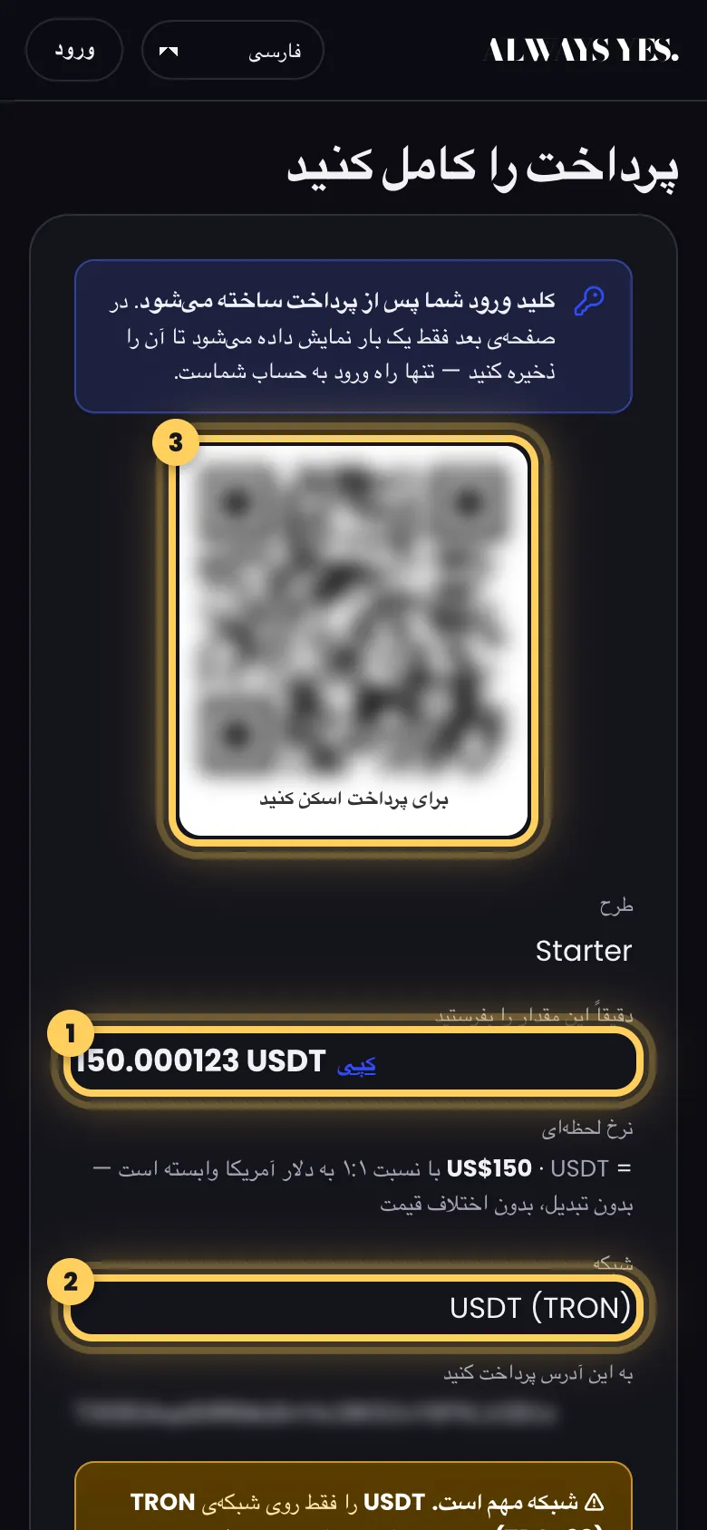 مرحله 2: صفحه پرداخت را با دقت بخوانید